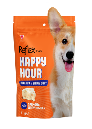 REFLEX PLUS HAPPY HOUR DOG TREATS - SALMON & WHEY POWDER 60g