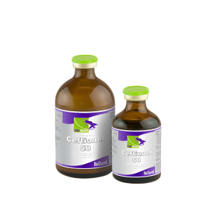 CEFTIONEL-50 100ml
