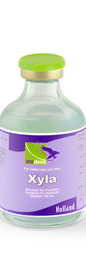 XYLA 50ml