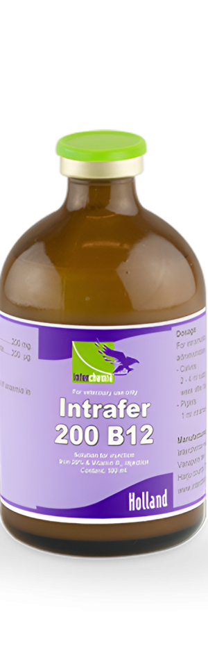 INTRAFER-200 B12 100ml