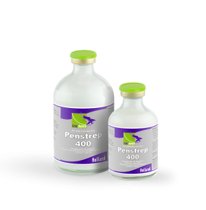 PENSTREP-400 100ml